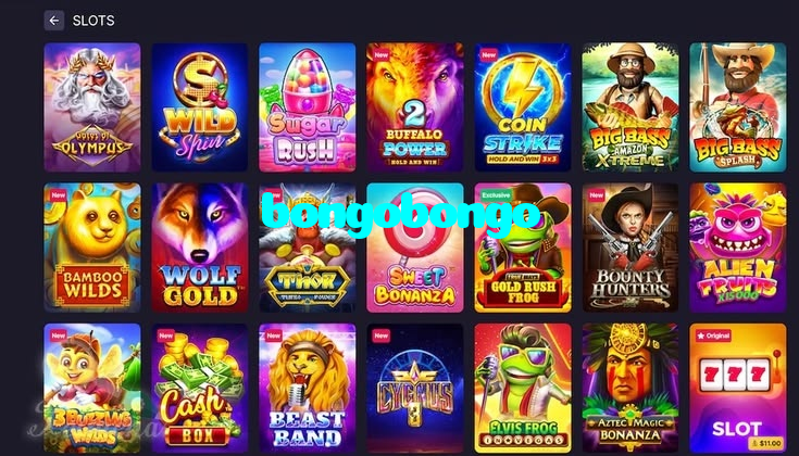 bongobongo